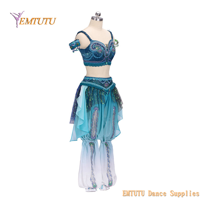 EM1428 EMTUTU Adult Child Professional Ballet Stage Costume La Bayadere Competition Ballet Attire Blue Arabian Style Two Sets